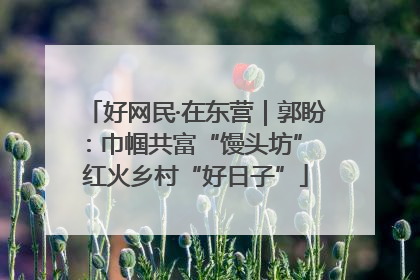 好网民·在东营｜郭盼：巾帼共富“馒头坊” 红火乡村“好日子”