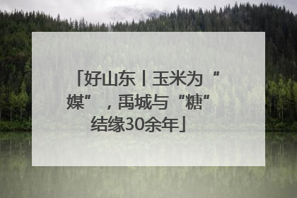 好山东丨玉米为“媒”，禹城与“糖”结缘30余年