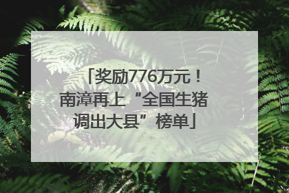 奖励776万元！南漳再上“全国生猪调出大县”榜单