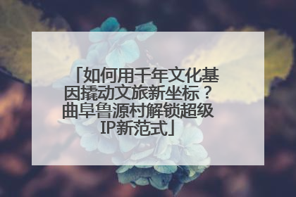 如何用千年文化基因撬动文旅新坐标？曲阜鲁源村解锁超级IP新范式