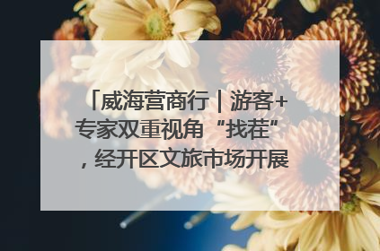 威海营商行｜游客+专家双重视角“找茬”，经开区文旅市场开展暑期前“体检”
