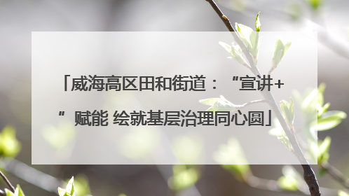 威海高区田和街道：“宣讲+”赋能 绘就基层治理同心圆