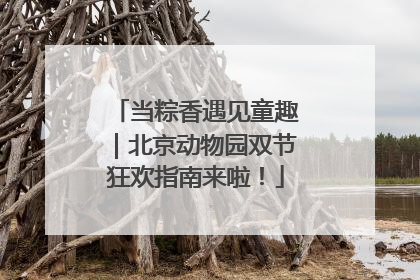 当粽香遇见童趣｜北京动物园双节狂欢指南来啦！