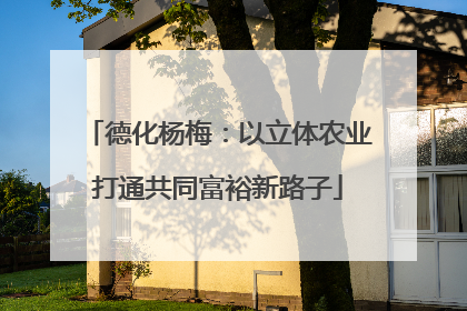 德化杨梅：以立体农业打通共同富裕新路子