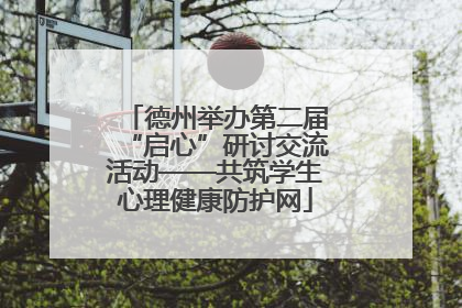 德州举办第二届“启心”研讨交流活动——共筑学生心理健康防护网