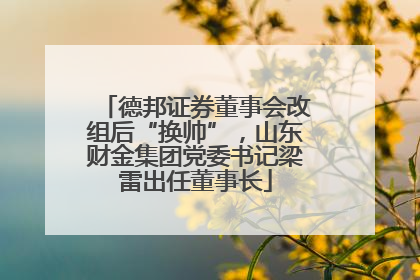德邦证券董事会改组后“换帅”，山东财金集团党委书记梁雷出任董事长