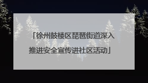 徐州鼓楼区琵琶街道深入推进安全宣传进社区活动
