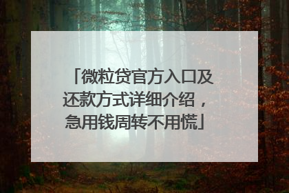 微粒贷官方入口及还款方式详细介绍，急用钱周转不用慌