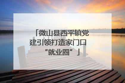 微山县西平镇党建引领打造家门口“就业圈”