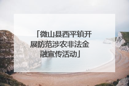 微山县西平镇开展防范涉农非法金融宣传活动