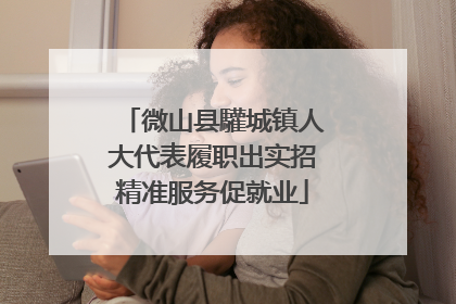 微山县驩城镇人大代表履职出实招精准服务促就业