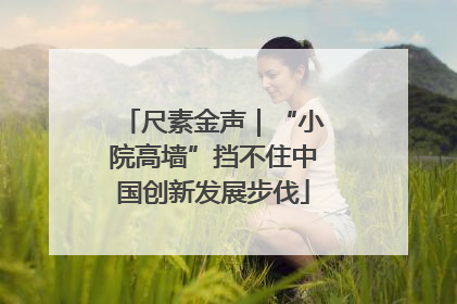 尺素金声｜“小院高墙”挡不住中国创新发展步伐