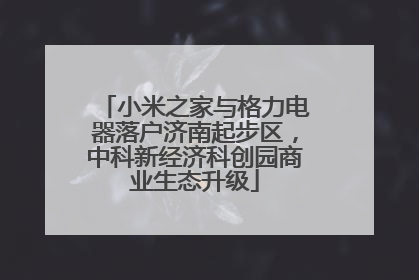小米之家与格力电器落户济南起步区，中科新经济科创园商业生态升级