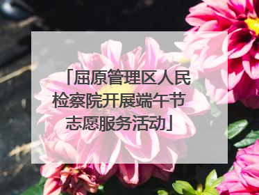 屈原管理区人民检察院开展端午节志愿服务活动