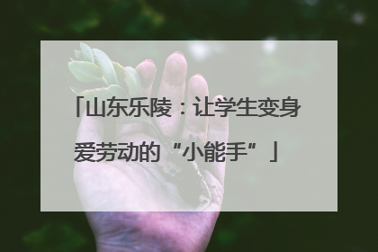 山东乐陵：让学生变身爱劳动的“小能手”