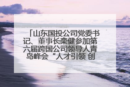 山东国投公司党委书记、董事长栾健参加第六届跨国公司领导人青岛峰会“人才引领 创新驱动”人力资源高质量发展对话会