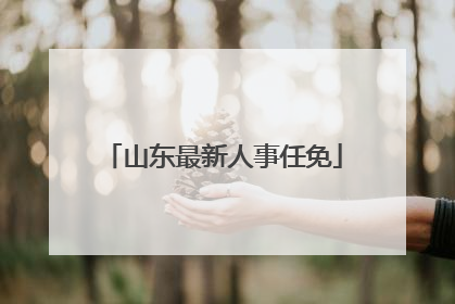 山东最新人事任免