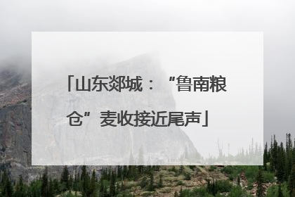 山东郯城：“鲁南粮仓”麦收接近尾声