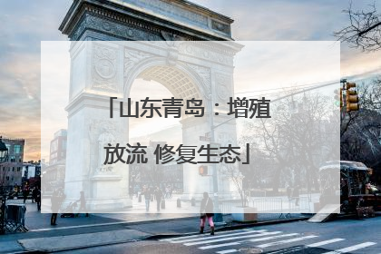 山东青岛：增殖放流 修复生态