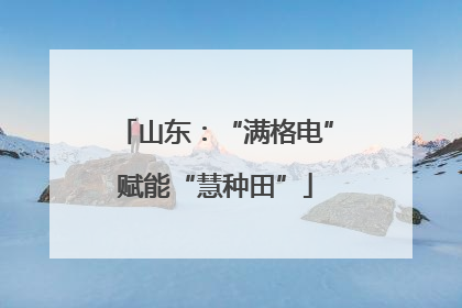 山东：“满格电”赋能“慧种田”