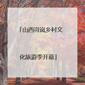 山西岢岚乡村文化旅游季开幕