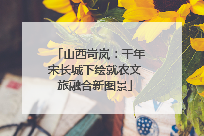 山西岢岚：千年宋长城下绘就农文旅融合新图景