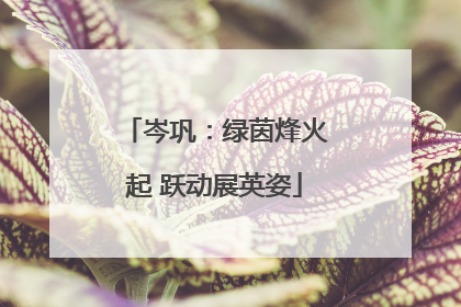 岑巩：绿茵烽火起 跃动展英姿