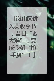 岚山区进入麦收季节，昔日“老大难”，变成今朝“抢手货”！