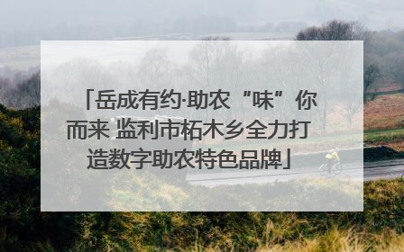 岳成有约·助农“味”你而来 监利市柘木乡全力打造数字助农特色品牌