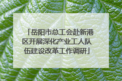 岳阳市总工会赴新港区开展深化产业工人队伍建设改革工作调研