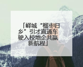 峄城“榴枣归乡”引才直通车驶入校地企共赢新航程