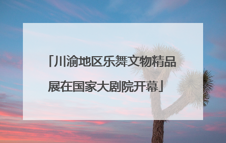 川渝地区乐舞文物精品展在国家大剧院开幕