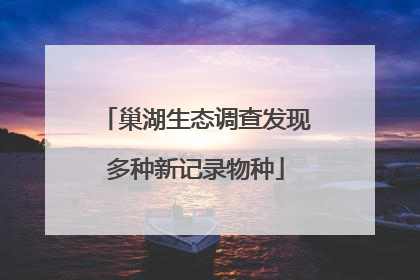 巢湖生态调查发现多种新记录物种