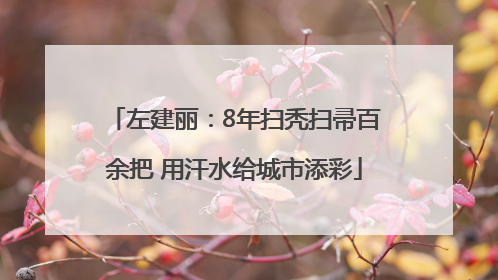 左建丽：8年扫秃扫帚百余把 用汗水给城市添彩