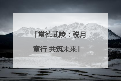 常德武陵：税月童行 共筑未来