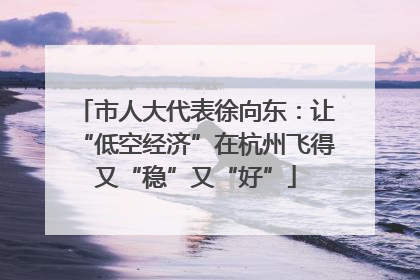 市人大代表徐向东：让“低空经济”在杭州飞得又“稳”又“好”