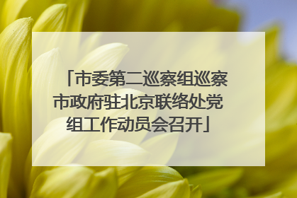 市委第二巡察组巡察市政府驻北京联络处党组工作动员会召开