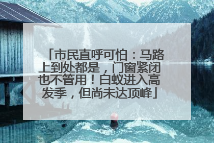 市民直呼可怕：马路上到处都是，门窗紧闭也不管用！白蚁进入高发季，但尚未达顶峰
