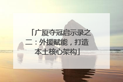 广厦夺冠启示录之二：外援赋能，打造本土核心架构