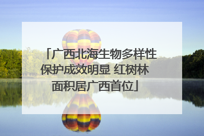 广西北海生物多样性保护成效明显 红树林面积居广西首位