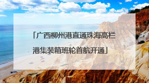 广西柳州港直通珠海高栏港集装箱班轮首航开通