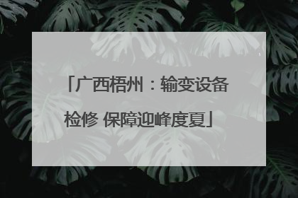广西梧州：输变设备检修 保障迎峰度夏