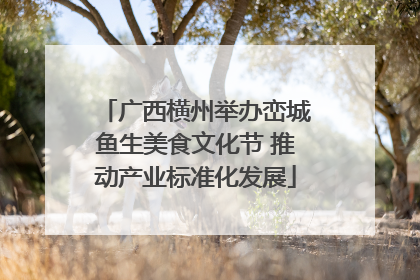 广西横州举办峦城鱼生美食文化节 推动产业标准化发展