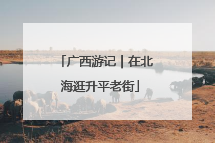 广西游记｜在北海逛升平老街