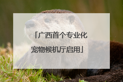 广西首个专业化宠物候机厅启用