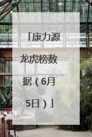 康力源龙虎榜数据（6月5日）