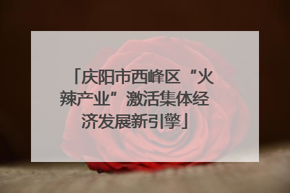 庆阳市西峰区“火辣产业”激活集体经济发展新引擎