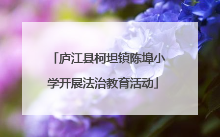 庐江县柯坦镇陈埠小学开展法治教育活动