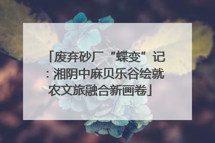 废弃砂厂“蝶变”记：湘阴中麻贝乐谷绘就农文旅融合新画卷