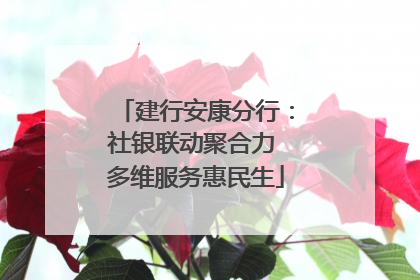 建行安康分行：社银联动聚合力 多维服务惠民生